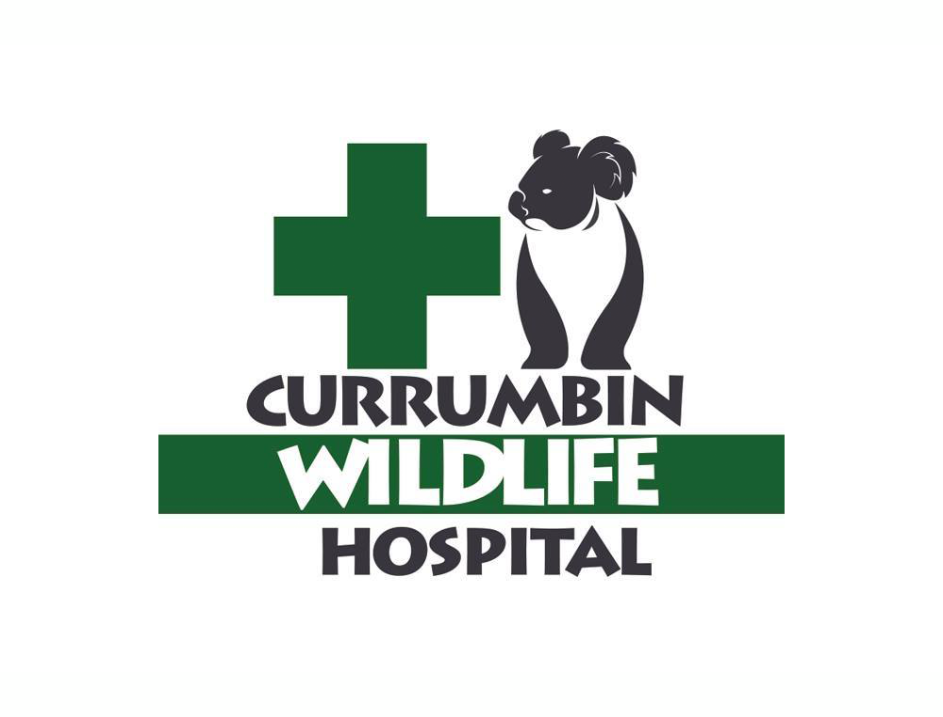 Currumbin Wildlife Hospital Logo
